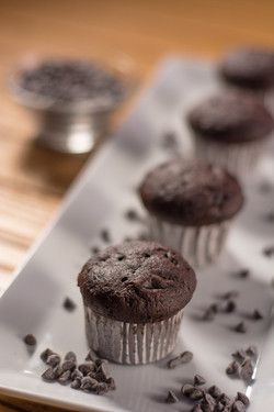 Muffin Chocolate Chip